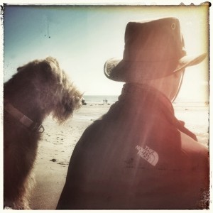 airedale-at-the-beach